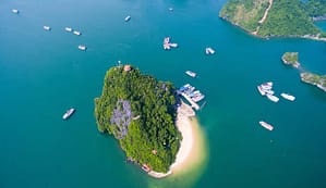 Athena Premium Titop island