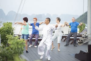 Athena Premium Cruise Taichi